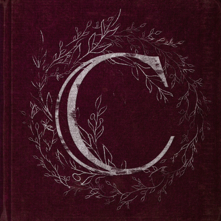 Un mot qui commence par un C