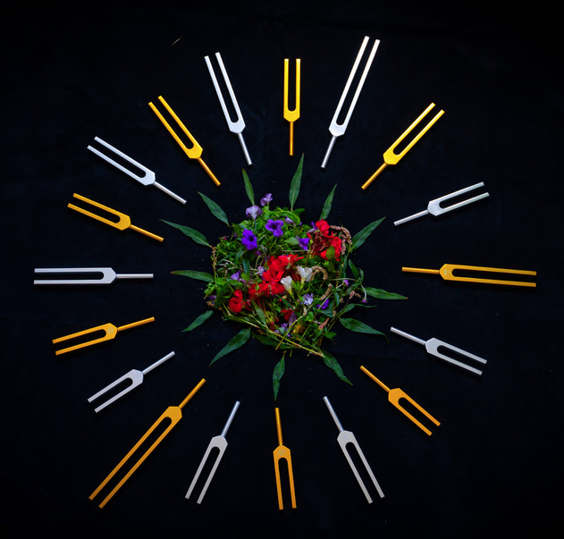 Mon coeur en couleur